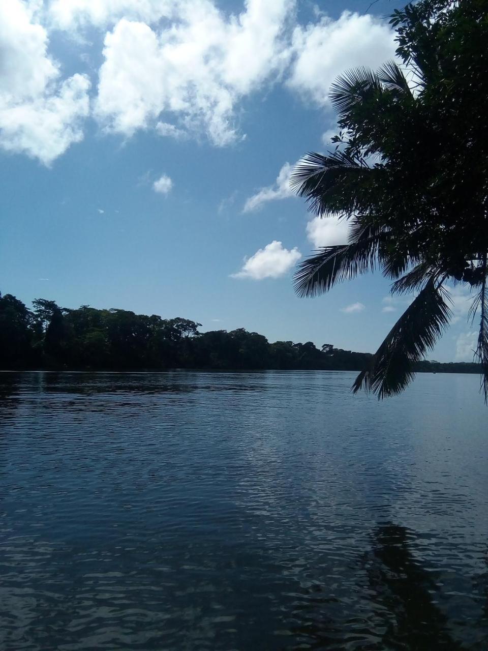 Hospedaje Meryscar Tortuguero Exterior foto